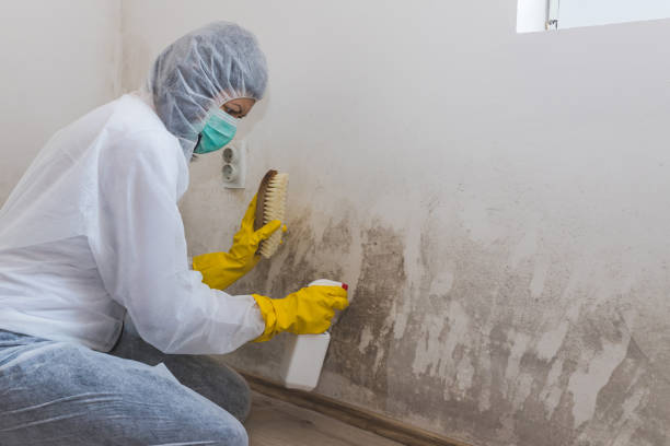 Best Mold Testing  in Troy, NC