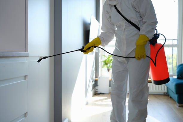 Best Residential Mold Removal  in Troy, NC