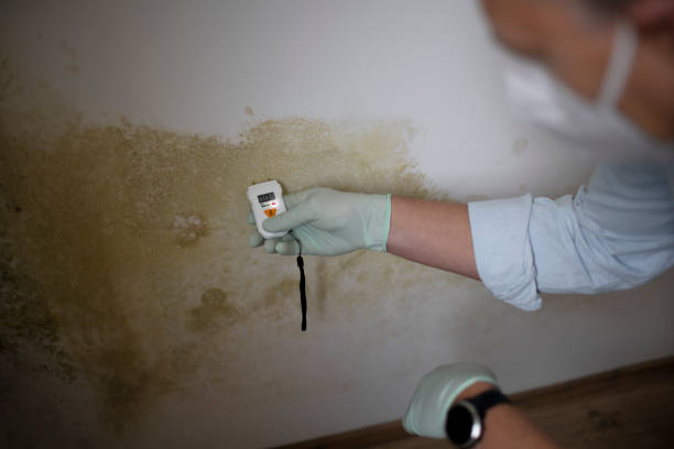Certified Mold Removal in Troy, NC