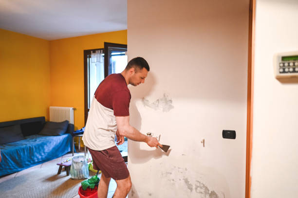 Best Mold Testing  in Troy, NC