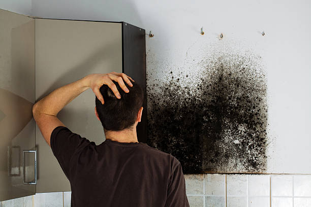 Water Damage Restoration in Troy, NC